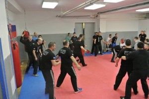 Krav Maga